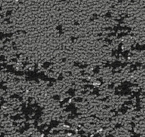 Balsan Stimuli Balsan Stimuli 960 фото 2 | FLOORDEALER